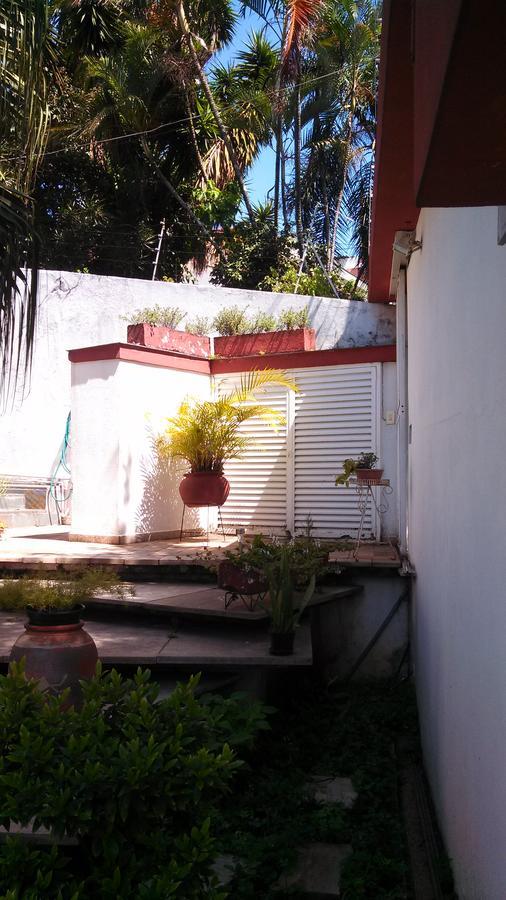 Comodita São Paulo Buitenkant foto
